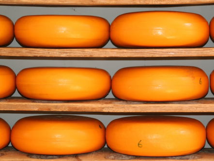 Oh no! De échte boeren Leidse kaas verdwijnt!