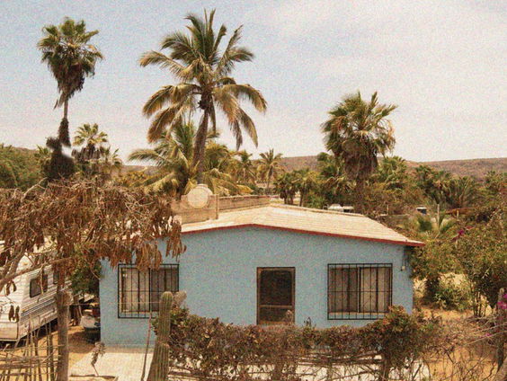 Annemiekes A-Plaat: Cordovas - ‘High Feeling’