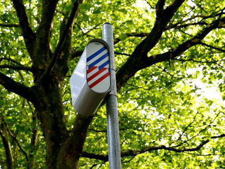 Waarom houden we zo van te hard rijden?