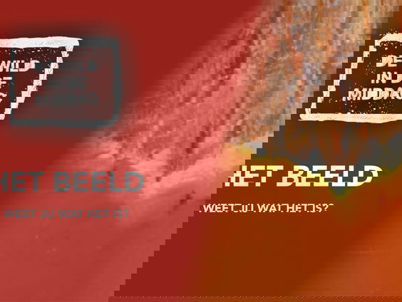 Het Beeld: weet jij wat het is?