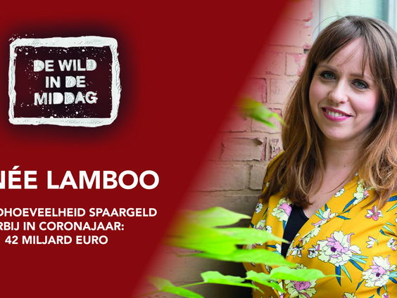 Recordhoeveelheid spaargeld erbij in coronajaar: 42 miljard euro