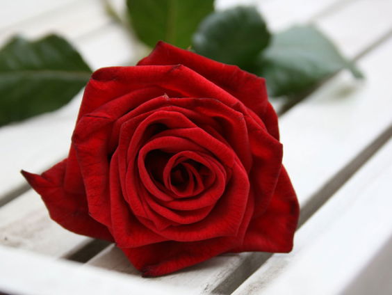 Bas Smit snapt helemaal niks van de finale van de Bachelorette