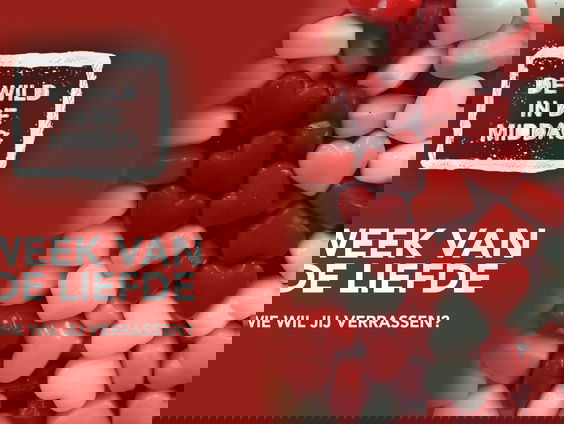 De Week van de Liefde: Ronnie is ontzettend trots op zijn vrouw Gerie!