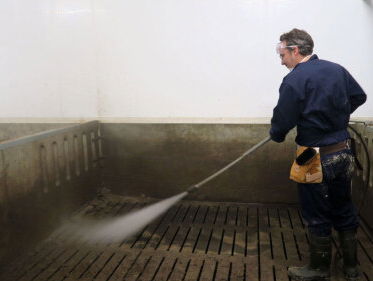 Franks eerste Dirty Job: varkensboerderij