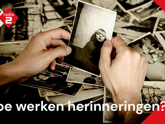 Hoe werken herinneringen?