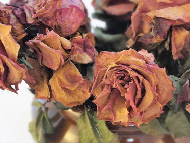 Pleurop bezorgt honderden verlepte bosjes bloemen