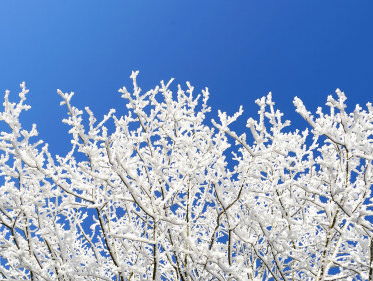 Krijgen we nou wel of geen sneeuw?! Weerman Maurice Middendorp heeft het antwoord!