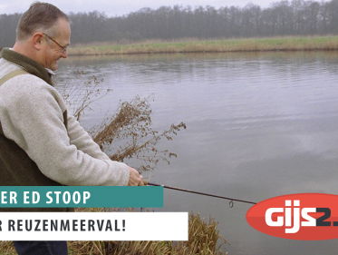 Ed Stoop van VisTV over de reuzenmeerval