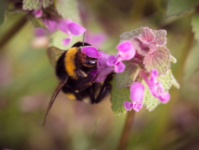 Waarom je niet moedeloos moet worden van het VN-rapprot volgens Arjan Postma
