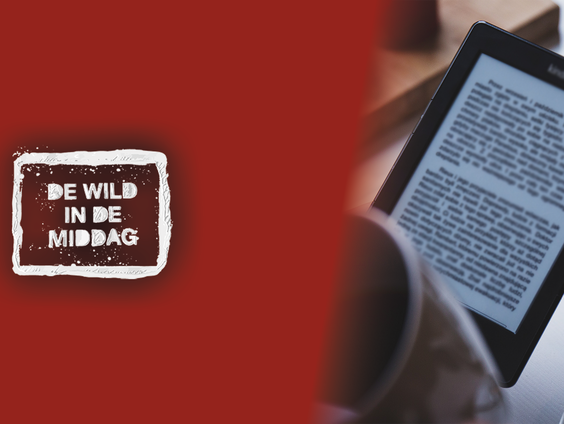 E-reader aanrader: Jojanneke Kant met 'De Vragendokter'