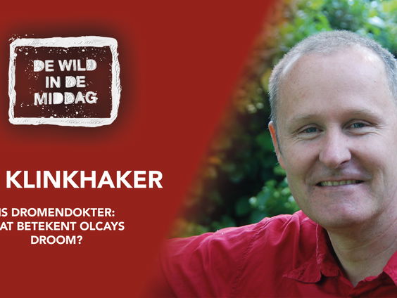 Bas Klinkhamer ontrafelt de droom van Olcay Gulsen!