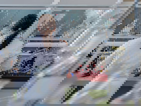 Veel uitvindingen blijken van Nederlandse bodem