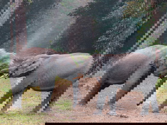 Waku Waku is terug... op de radio