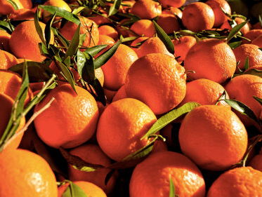 OMG! Van je favoriete en gezonde eten en drinken kun je dood gaan! Moet je er wel extreem veel van eten