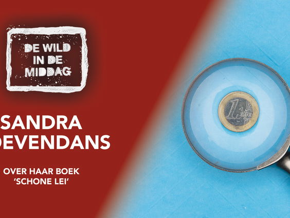 Sandra Doevendans biedt 'krachtige verhalen en concrete tips om uit de geldzorgen te komen'