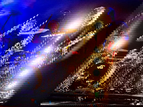 Het Gouden Trommelvlies: Niles Vandenberg