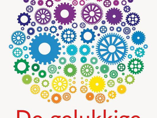 E-reader Aanrader Bart Verkuil - De gelukkige Piekeraar