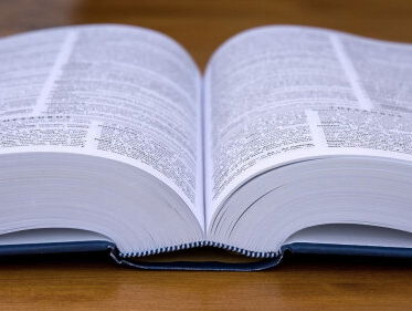 Welk boek moet Stefan voorlezen deze zomer?