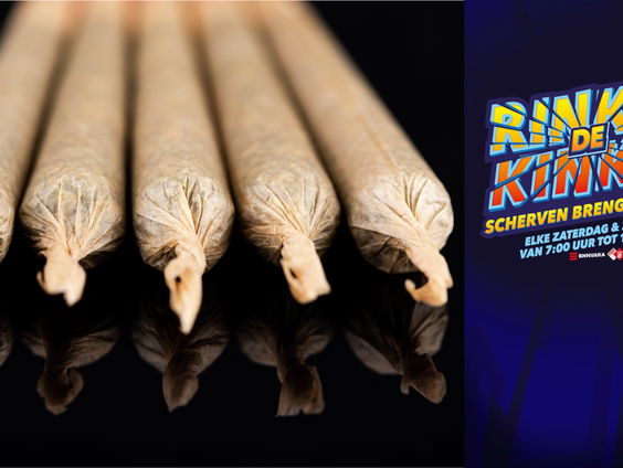 'Iedereen moet wiet in z'n tuin kunnen verbouwen' - Jesse Op Straat