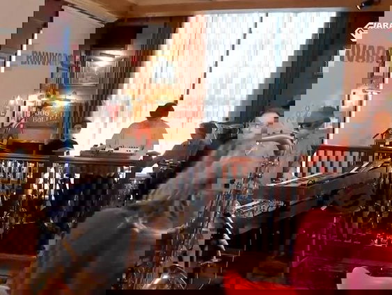 Jungle by night - Angelo Samsonite