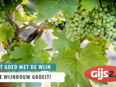 Het gaat goed met de wijn!