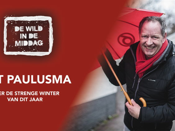 Piet Paulusma: Ook dit jaar geen elfstedentocht'