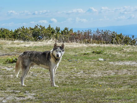 De Held van Haandrikman: Sandra Jurriëns