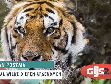 Het gaat slecht met de wilde dieren