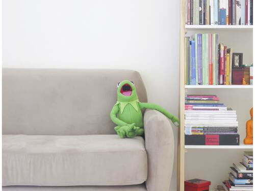Top 5 over 5: Welke zangers klinken als Kermit de Kikker?
