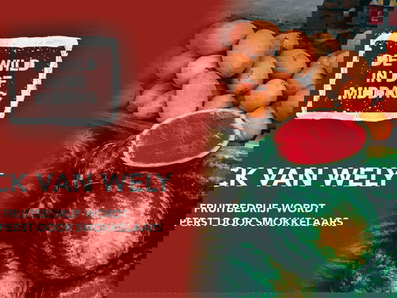 Mick van Wely: 'Fruitbedrijf wordt afgeperst door cocaïnesmokkelaars'