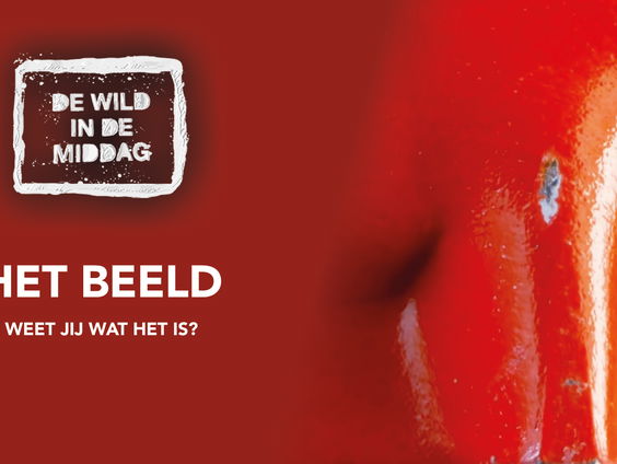 De nieuwe opgave van Het Beeld is geraden!