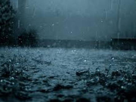 De staat presenteert hulpactie: Regentonnen voor Belgie