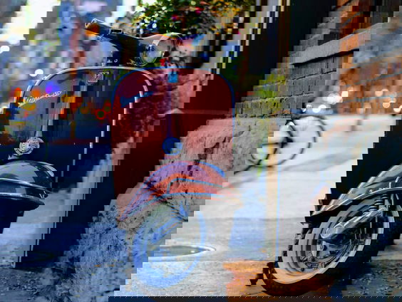 Noortje schakelt Jan-Willems hulp in voor gelijknamige scooter