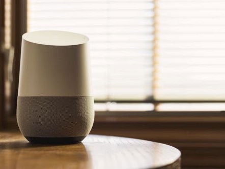 Google Home te koop in Nederland