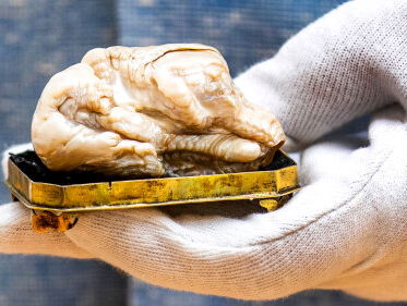 Peter Meefout over veiling De Slapende Leeuw