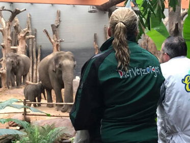 Franks Dirty Job: hokken in de dierentuin schoonmaken