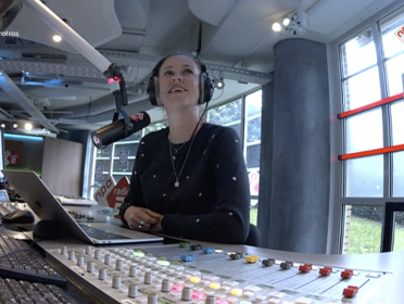 Eendagsvliegen in de muziek zouden eendagsvlinders genoemd moeten worden!