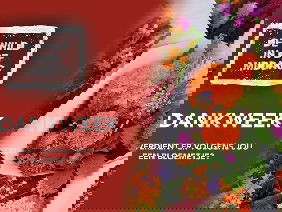 Ilse is ontzettend dik met haar buren: ze wil ze daarom graag bedanken!