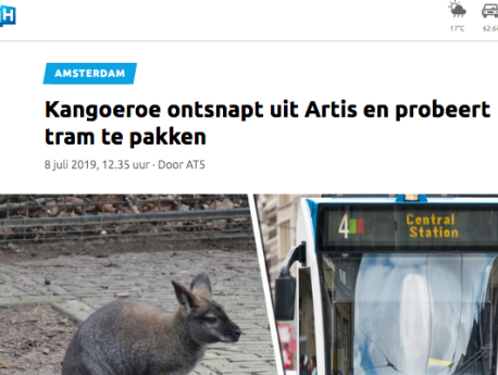 Top 5 over 5: Wat zegt het dier?