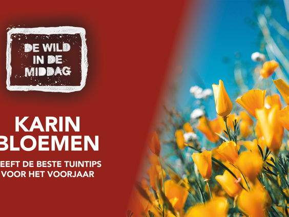 Karin Bloemen heeft de beste tips om de tuin klaar te maken voor het voorjaar!