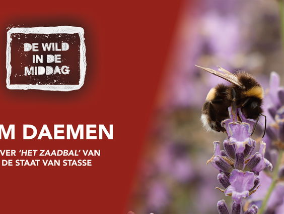 Tim Daemen geeft ons vast een voorproefje op Het Zaadbal