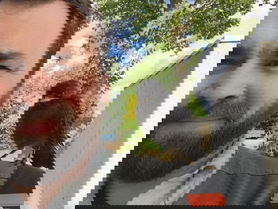 Boswachter Tim heeft een luister-tipje!