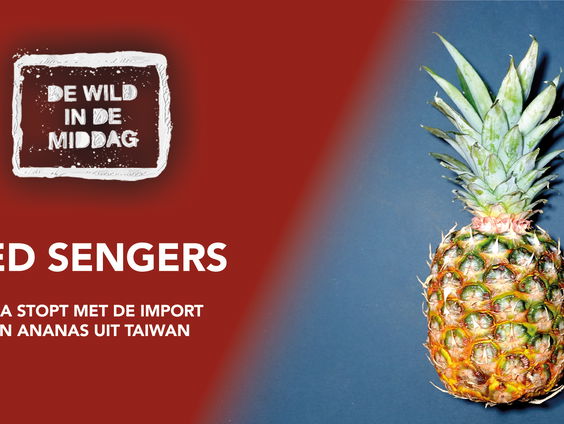 China verbiedt de import van Taiwanese ananassen