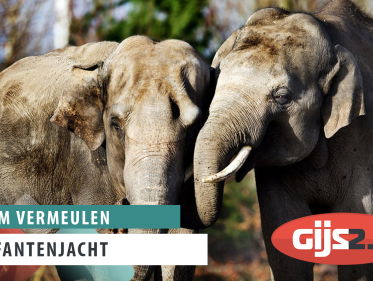 Olifantenjacht Botswana