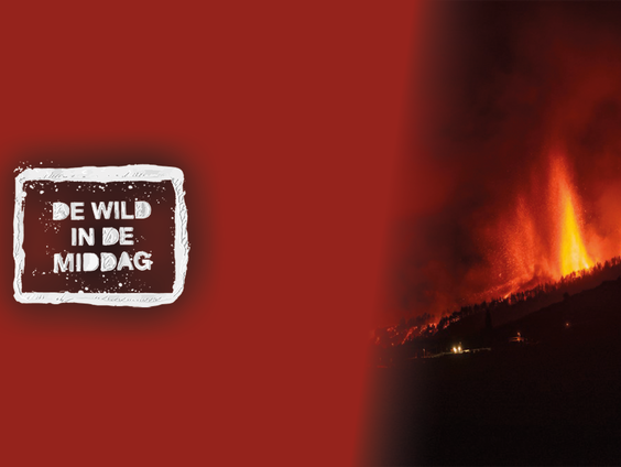 Rop Zoutberg: 'Lava, vuur en rook: vulkaanuitbarsting La Palma nog steeds in volle gang'