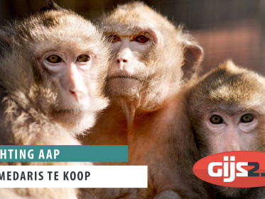 Stichting AAP