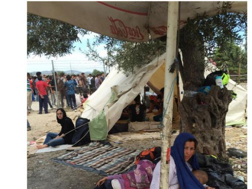 Interview Aimee De Jongh