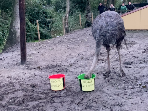 Nieuwe uitdaging of bij oude baan blijven? Patty lost dilemma van Esther op!