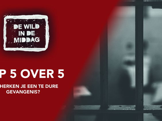 Top 5 over 5: Hoe herken je een te dure gevangenis?