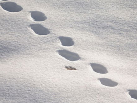 Wiersema's Weekend Weerbericht